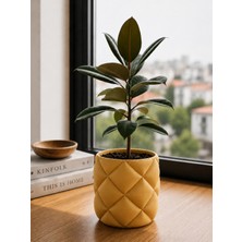 Triora Design Soft Model Saksı:rustik Saksı, Vintage Saksı, Kapitone Saksı 17CM Genişlik x 15CM Yükseklik Pla