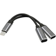 Epilons Lightning To 2 Lightning Çevirici ZR1192