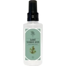 Çam Ormanı Notalarıyla Kolonya 125 Ml, Kutulu