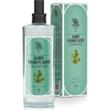 Eau De Cologne, 100 ml Çam Ormanı Ferahlığı