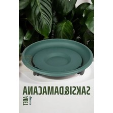 Esranın Dünyası Tekerlekli Saksı Altığı, 37 cm Çapında, Pratik Tasarım