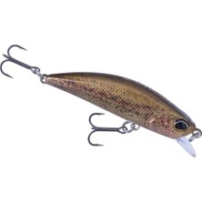 MarkEntegra Duo Spearhead Ryuki 50F CCCZ214 Rp Loach Suni Yem
