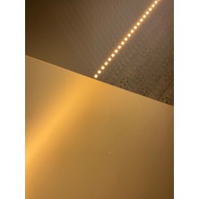 Secol 24V Şerit LED
