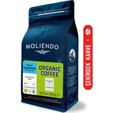 Moliendo Finest Coffee Moliendo Organik Guatemala Yörsel Kahve (Çekirdek Kahve) 250 g