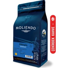 Moliendo Ethiopia Djimmah Yöresel Kahve (Çekirdek Kahve) 250 g
