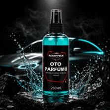 Nartex Oto Parfüm Amber - Sprey Araç Kokusu 250 ml