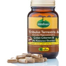 Mindivan Çoban Çökerten & At Kestanesi Ekstresi 500 Mg 60 Kapsül
