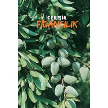 Çermik Fidancılık 5 Adet Ince Salkımlı Ferragnes Ferraduel Badem Fidanı
