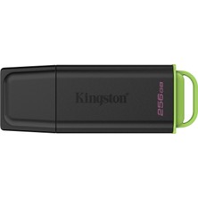 Kingston 256GB Usb3.2 DTXG2/256GB Exodıa Kıngston