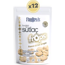 Frodelis Sütlaç Frops - 12li Set (Çoklu Paket)