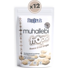 Frodelis Muhallebi Frops - 12li Set (Çoklu Paket)