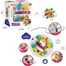 Mrs- BIB6034- 6 In 1 Diş Kaşıyıcılı Bebek Topu -548484