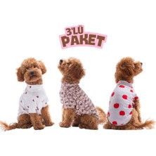 Pettrend Summer Dreams Yaz Rüyası 3lü Sweat Set Kedi Köpek Sweati-Kedi Köpek Kıyafeti
