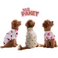 Pettrend Cool Love Havalı Aşk 3'lü Sweat Set Kedi Köpek Sweati - Kedi Köpek Kıyafeti