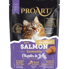 24' Lü Proart Jöleli Somonlu Kısır Kedi Poşet Maması 85 gr