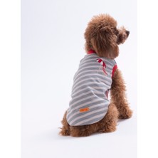 Pawstar Umbrella Embroline Tişört Kedi Köpek Tişörtü-Kedi Köpek Kıyafeti
