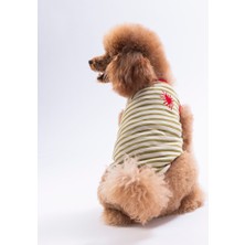 Pawstar Red Heart Embroline Tişört Kedi Köpek Tişörtü-Kedi Köpek Kıyafeti