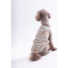 Pawstar Cactus Embroline Tişört Kedi Köpek Tişörtü-Kedi Köpek Kıyafeti