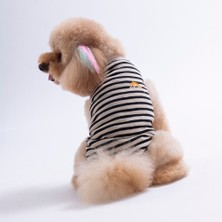Pawstar Sunrise Embroline Tişört Kedi Köpek Tişörtü-Kedi Köpek Kıyafeti