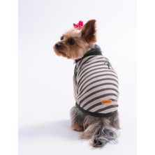 Pawstar Palm Embroline Tişört Kedi Köpek Tişörtü-Kedi Köpek Kıyafeti
