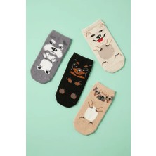 Bony Socks 4'lü Paket Hayvan Desenli Çocuk Step Çorap Çok Renkli