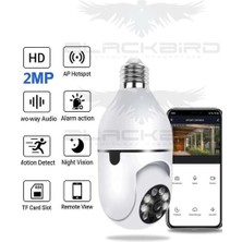 O-kam 4045 2mp Ampul Kamera