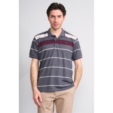 Çetinkaya Chester Polo 4739 Polo Yaka Regular Ringel Pike T-Shirt Füme