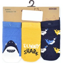 Petit Minou 3'lü Cute Shark Bebek Çorabı 2182