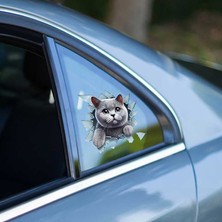 Ulora Fulcar British Araç Stickerı