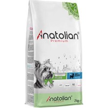 Bezos Premium Kuzulu Mini Irk Yetişkin Köpek Maması 2 kg
