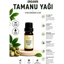 Aliye's Planet %100 Organik Tamanu Yağı - Soğuk Sıkım - Yoğun Nem & Cilt Bariyeri Destekleyici Bakım Yağı