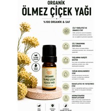 Aliye's Planet %100 Organik Ölmez Çiçek Uçucu Yağı – Kırışıklık Karşıtı, & Cilt Yenileyici