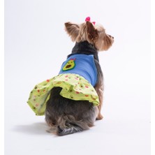 Pawstar Avo Bliss Denim Avokado Desenli Kot Kedi Köpek Elbisesi - Kedi Köpek Kıyafeti