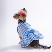 Pawstar Ocean Love Kalp Desenli Kedi Köpek Elbisesi - Kedi Köpek Kıyafeti