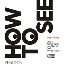 Phaidon How To See 9780714873831