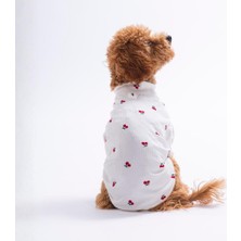Pettrend Cherry Bloom Kiraz Desenli Kedi Köpek Sweati - Kedi Köpek Kıyafeti-Kedi Köpek Sweati
