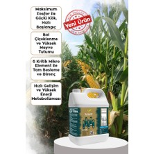 Ferment Tarım Ferment Extra Yüksek Fosfor Çinko Karışımı - Çiçek Coşturucu ve Kök Geliştirici 5 Lt (Düşük Ph)