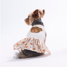 Pawstar Teddy Belle Ayıcık Desenli Kedi Köpek Elbisesi - Kedi Köpek Kıyafeti