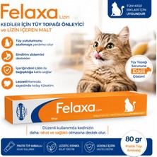 Biyoteknik Felaxa Lizin Oral Pat Malt 80 gr