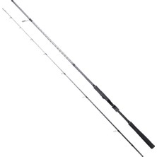 RYUJI ARES X 2.40M 9-45GR, 2P SPIN KAMIŞ
