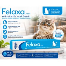 Felaxa Joint 80 gr