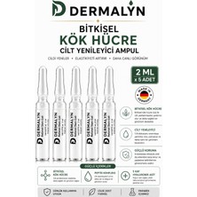 5 Adet Bitkisel Kök Hücre Cilt Yenileyici Mimik Kırışıklık Yaşlanma Karşıtı Ampul Serum Dermaroller