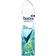 Rexona Deodorant 150ML Eucalyptus & Magnolia