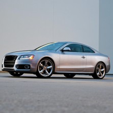 Vass41 Audi A5 Coupe 2008-2011 Sürücü Kapısı Kolunun Kapağı Bademi 8T0837879