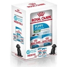 Bezos Mini Puppy Küçük Irk Yavru Köpek Maması 2 Kg+2 Adet Pouch Hediye