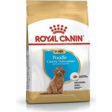Bezos Poodle Puppy Yavru Köpek Maması 3 kg