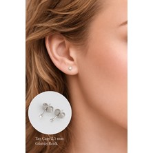 Sacce Scarves & Accessories Zirkon Taşlı Gümüş Renkli 2.5 mm Tektaş Küpe