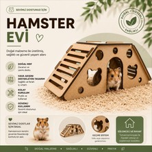 Algwood Ahşap Hamster Köprüsü ve Yuvası - 2'si 1 Arada Hamster Yuvası ve Oyun Parkuru - Boyanabilir Hamster Yuvası