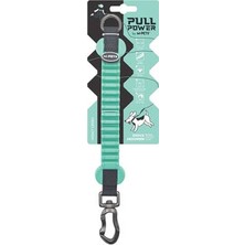 Hobibahçem Pull Power Köpekler Için Şok Emici Ara Tasma Yeşil 25 cm