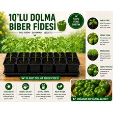 Mera Çiçekçilik Dolma Biber Fidesi 10 Adet